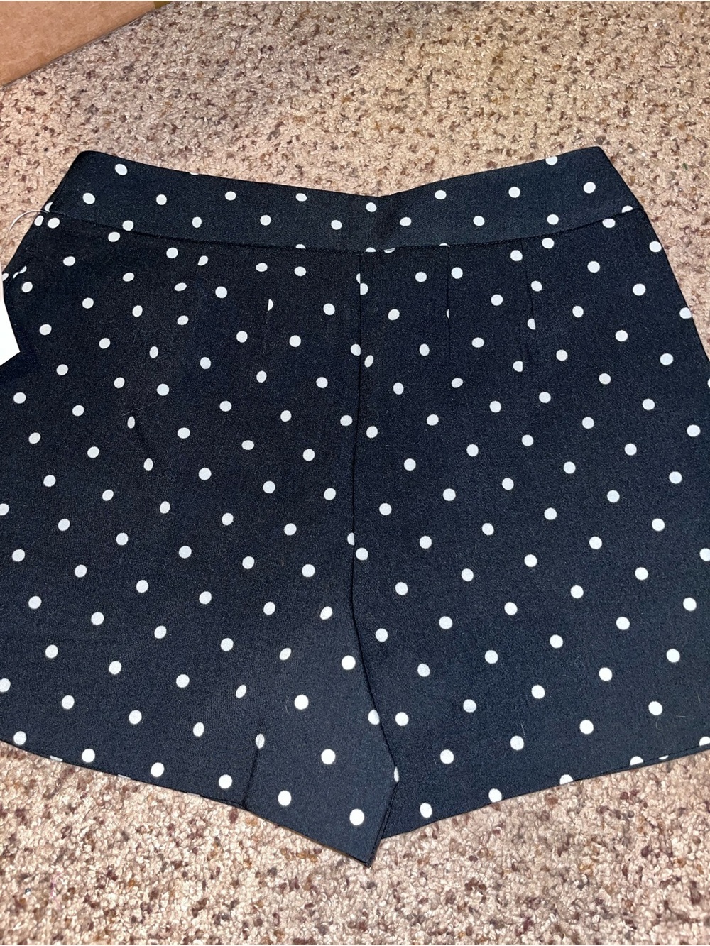 a new day Black with White Polka Dot Women’s High-Rise Shorts - Picture 8 of 8